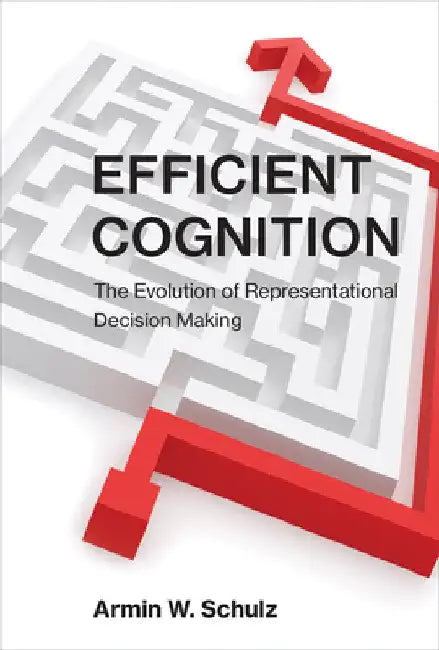 Efficient Cognition: The Evolution of Representational Decision Making by Armin W. Schulz