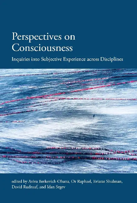 Perspectives On Consciousness And Experi by Idan Segev