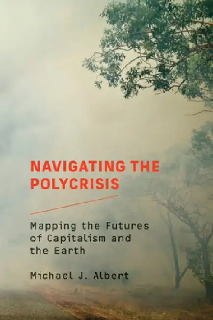 Navigating the Polycrisis: Mapping the Futures of Capitalism and the Earth by Michael J. Albert