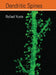 Dendritic Spines by Rafael Yuste