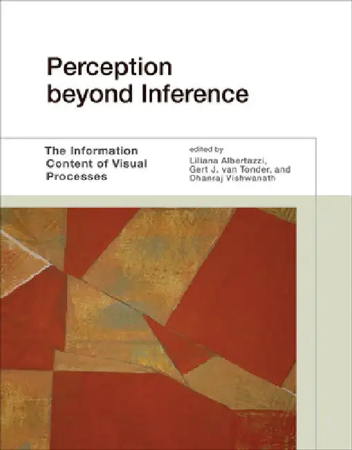 Perception Beyond Inference: The Information Content of Visual Processes by Liliana Albertazzi