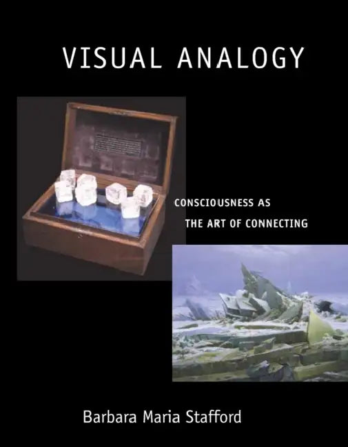 Visual Analogy: Consciousness as the Art of Connecting by Barbara Maria Stafford