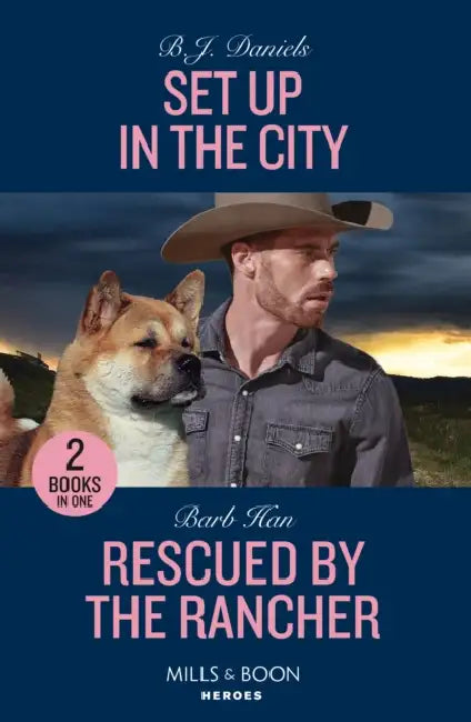 Set Up In The City / Rescued By The Rancher: Set Up in the City / Rescued by the Rancher (the Cowboys of Cider Creek) by Steve Galluccio