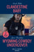 Clandestine Baby / Wyoming Cowboy Undercover: Clandestine Baby / Wyoming Cowboy Undercover by Rebecca Miller