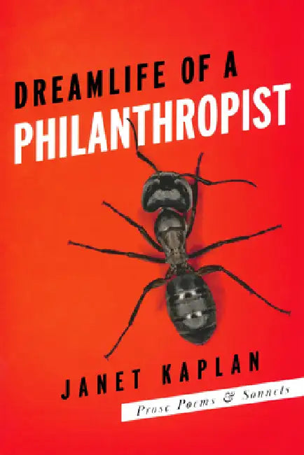 Dreamlife of a Philanthropist by Janet Kaplan