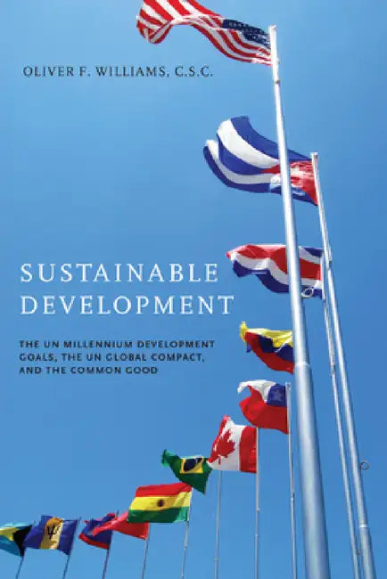 Sustainable Development: The UN Millennium Development Goals, the UN Global Compact, and the Common Good by Oliver F. Williams