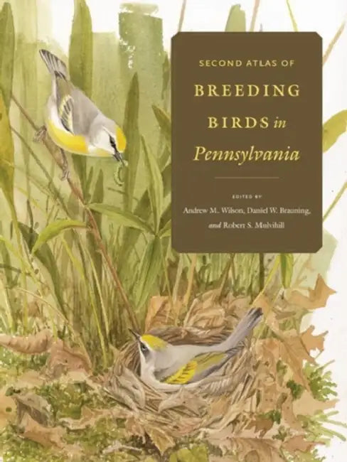 Second Atlas of Breeding Birds in Pennsylvania by Andrew M. Wilson, Daniel W. Brauning, Robert S. Mulvihill