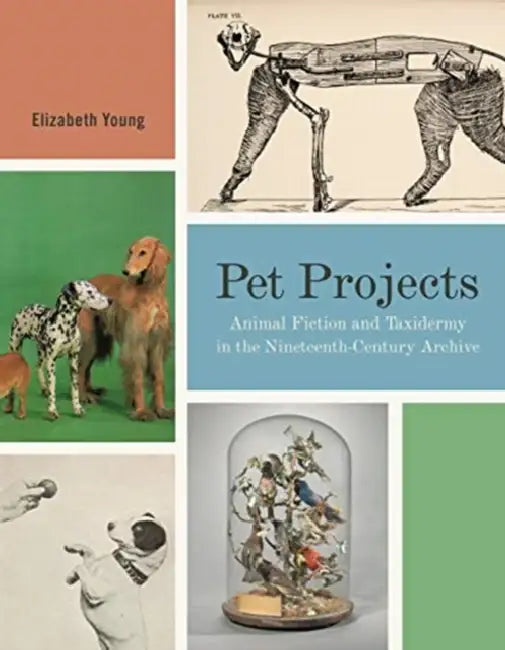 Pet Projects: Animal Fiction and Taxidermy in the Nineteenth-Century Archive by Elizabeth Young