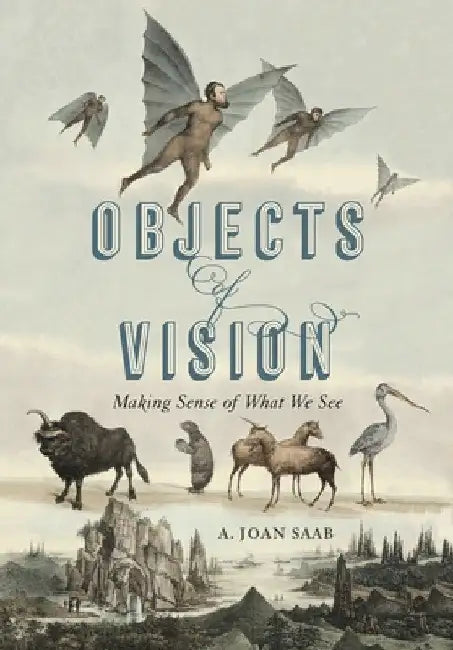 Objects of Vision: Making Sense of What We See by A. Joan Saab