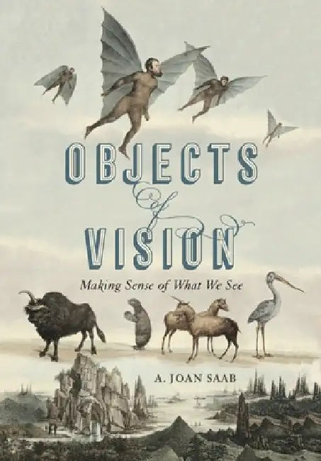 Objects of Vision: Making Sense of What We See by A. Joan Saab
