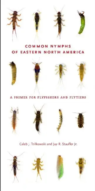 Common Nymphs of Eastern North America: A Primer for Flyfishers and Flytiers by Caleb J. Tzilkowski, Jay R. Stauffer Jr