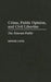 Crime, Public Opinion, and Civil Liberties: The Tolerant Public by Shmuel Lock