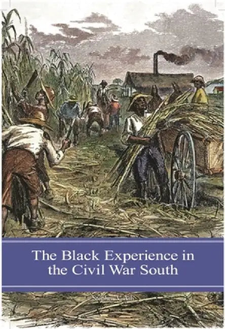 The Black Experience in the Civil War South by Stephen Ash