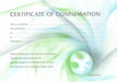 Certificate of Confirmation by Current, Austin