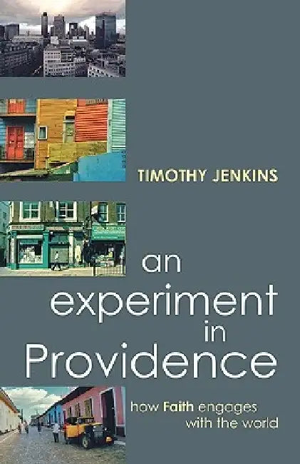 An Experiment in Providence: How Faith Engages the World by Timothy Jenkins
