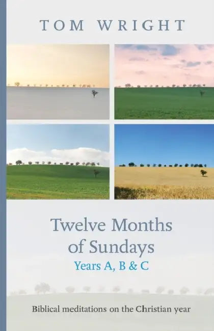 Twelve Months of Sundays Years A, B and C: Biblical Meditations On The Christian Year by Robert de Boron