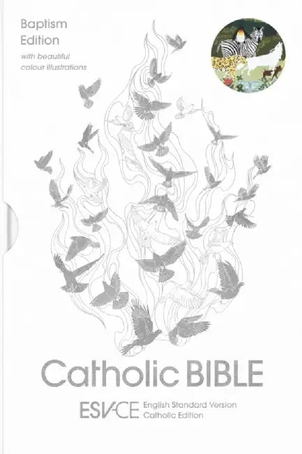 ESV-CE Catholic Bible, Anglicized Baptism Edition by SPCK ESV-CE Bibles
