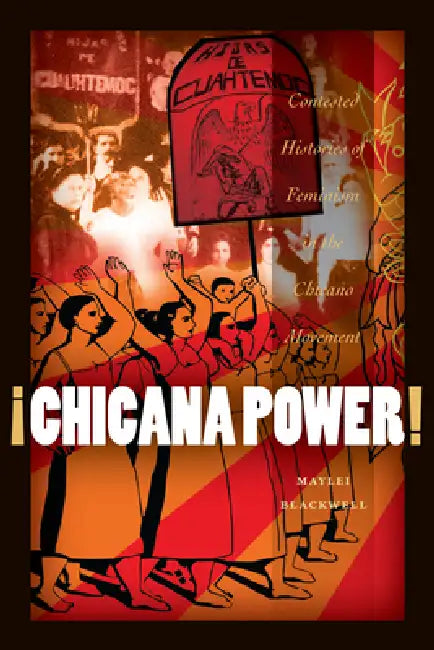 ¡Chicana Power!: Contested Histories of Feminism in the Chicano Movement by Maylei Blackwell