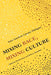 Mixing Race, Mixing Culture: Inter-American Literary Dialogues by Monika Kaup