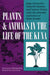 Plants and Animals in the Life of the Kuna by Jorge Ventocilla, Heraclio Herrera, Valerio Núñez