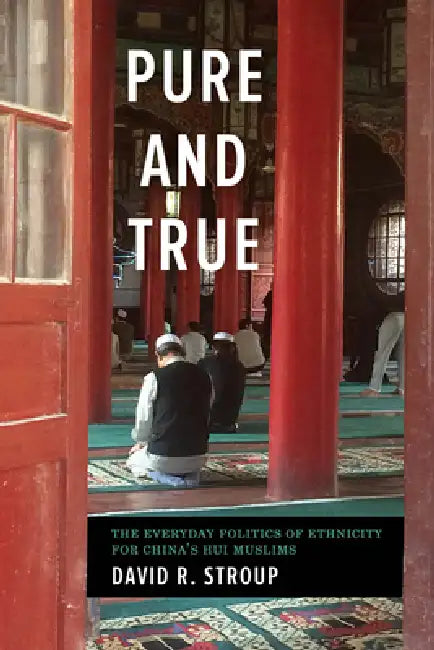 Pure and True: The Everyday Politics of Ethnicity for China's Hui Muslims by David R. Stroup, Stevan Harrell