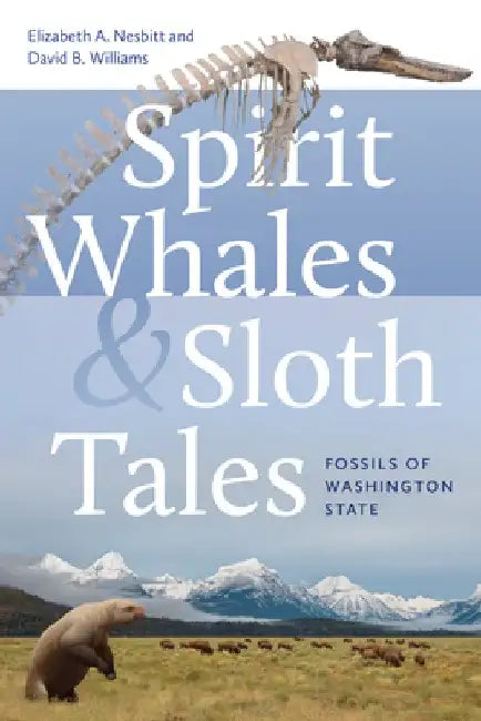 Spirit Whales and Sloth Tales: Fossils of Washington State by Elizabeth A. Nesbitt