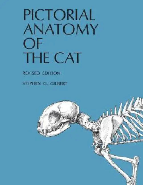Pictorial Anatomy of the Cat by Stephen G. Gilbert
