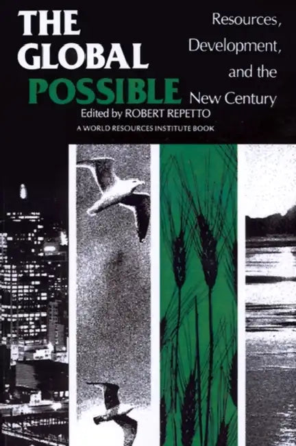 The Global Possible: Resources, Development, and the New Century by Robert Repetto