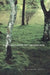 The Language of Landscape by Anne Whiston Spirn