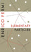 Elementary Particles by Enrico Fermi