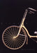 Bicycle: The History by David V. Herlihy