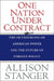One Nation Under Contract by Allison Stanger