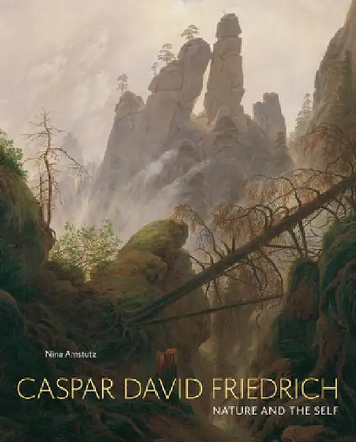 Caspar David Friedrich: Nature and the Self by Nina Amstutz