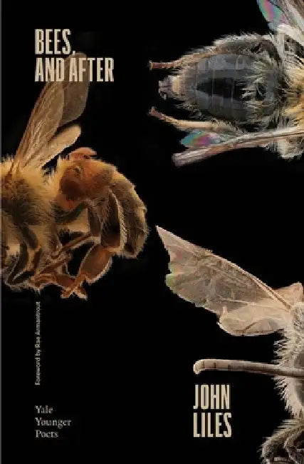 Bees, and After: Volume 119 by John Liles