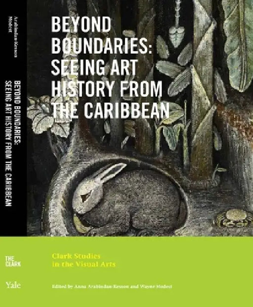 Beyond Boundaries: Seeing Art History from the Caribbean by Anna Arabindan-Kesson, Wayne Modest
