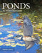 Ponds: An Illustrated Guide by Patrick J. Lynch