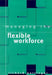 Managing the Flexible Workforce by Pettinger Richard