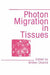 Photon Migration in Tissues by B. Chance