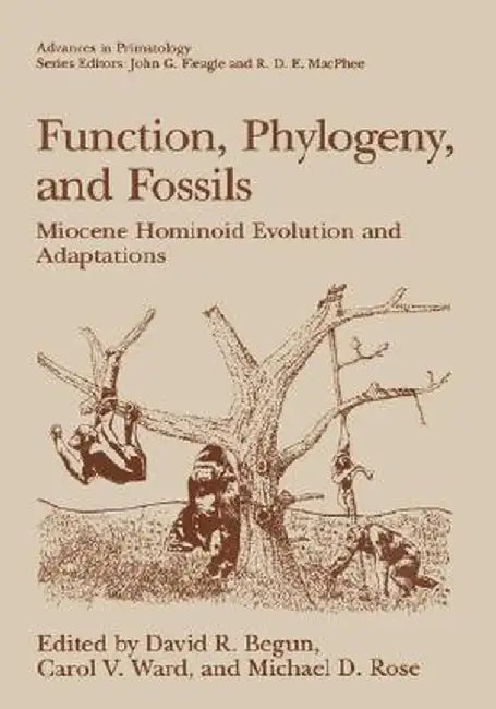 Function, Phylogeny, and Fossils: Miocene Hominoid Evolution and Adaptations by David R. Begun