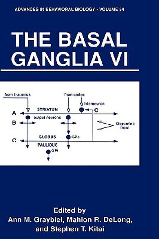 The Basal Ganglia VI by Ann M. Graybiel