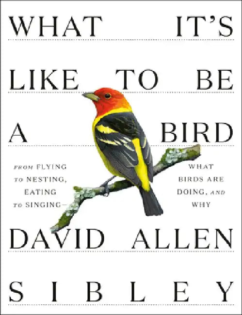 What It's Like to Be a Bird: From Flying to Nesting, Eating to Singing--What Birds Are Doing, and Why by David Allen Sibley