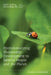 Operationalizing Sustainable Development to Benefit People and the Planet by National Academies of Sciences Engineeri, Policy and Global Affairs, Science and Technology for Sustainabilit