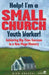 Help! I'm a Small Church Youth Worker: Achieving Big-Time Success in a Non-Mega Ministry by Rich Grassel