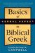 Basics of Verbal Aspect in Biblical Greek by Constantine R. Campbell