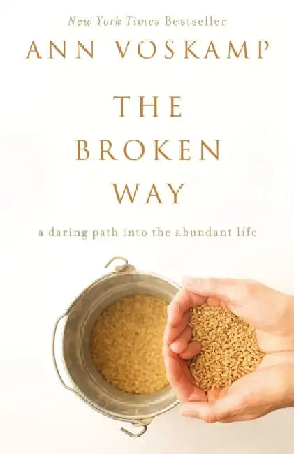 The Broken Way by Pal Kolsto