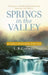 Springs in the Valley: 365 Daily Devotional Readings by L. B. E. Cowman