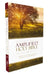 Amplified Bible-Am: Captures the Full Meaning Behind the Original Greek and Hebrew by Zondervan