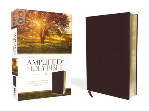 Amplified Bible-Am: Captures the Full Meaning Behind the Original Greek and Hebrew by Zondervan