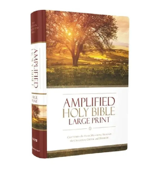 Amplified Bible-Am-Large Print: Captures the Full Meaning Behind the Original Greek and Hebrew by Zondervan