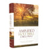 Amplified Bible-Am-Large Print: Captures the Full Meaning Behind the Original Greek and Hebrew by Zondervan